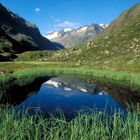Almrausch Neustift im Stubaital
