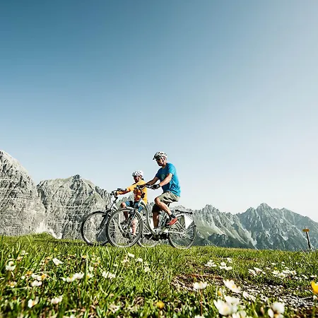 Almrausch 3* ノイシュティフト・イム・シュトゥーバイタール